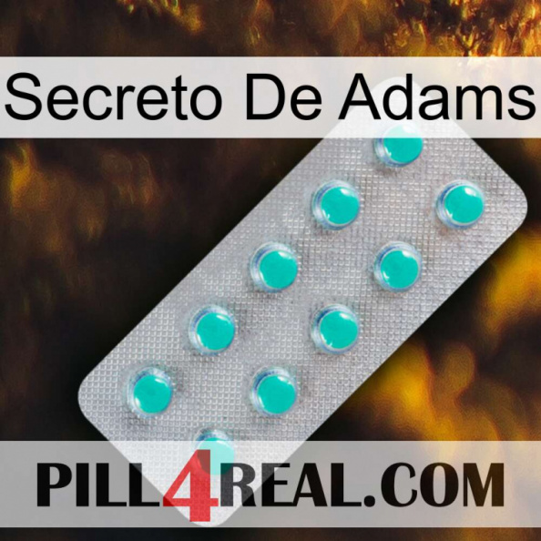 Adams Secret 28.jpg